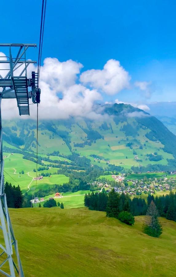 The Swiss Paradise 2 Apartment With Garden, Whirlpool, And Mountain Panorama Wirzweli Kültér fotó
