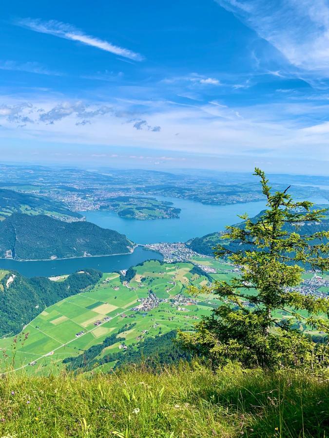 The Swiss Paradise 2 Apartment With Garden, Whirlpool, And Mountain Panorama Wirzweli Kültér fotó