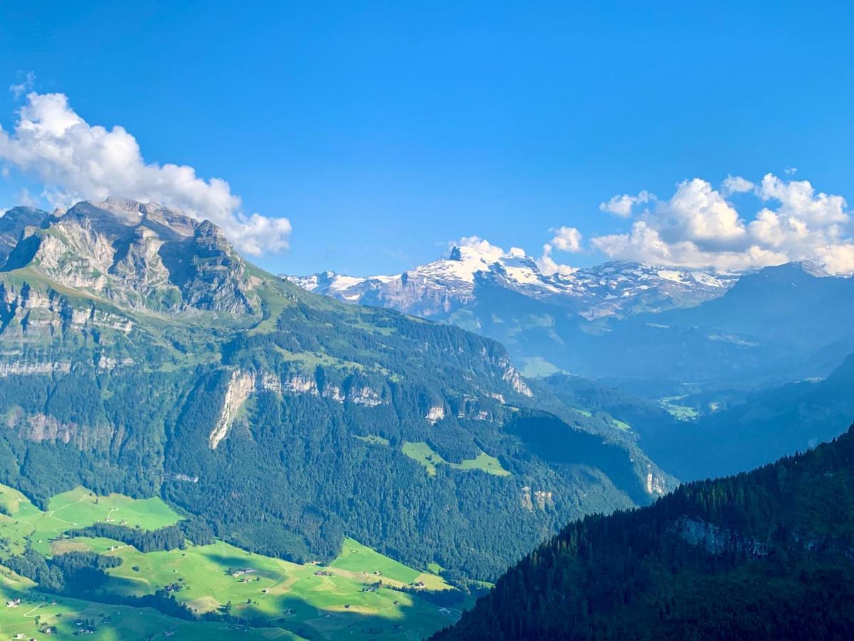 The Swiss Paradise 2 Apartment With Garden, Whirlpool, And Mountain Panorama Wirzweli Kültér fotó